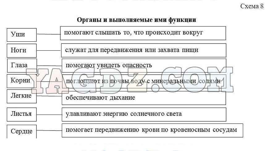 Биология 5 класс рабочая тетрадь стр 68