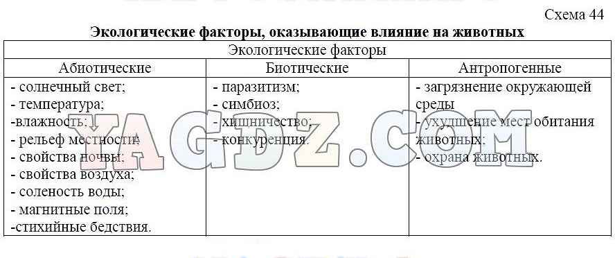 Биология 5 класс рабочая тетрадь страница 72. Биология 6 класс рабочая тетрадь Бодрова таблица 14.