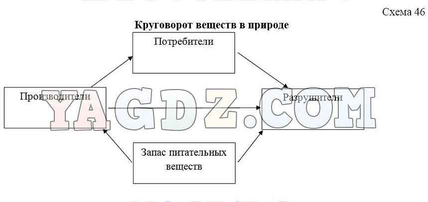 Текст песни круговорот. Круговорот веществ в природе 5 класс биология. Круговорот веществ 5 класс биология. Схема круговорота веществ в природе 5 класс. Схема круговорота веществ 5 класс биология.