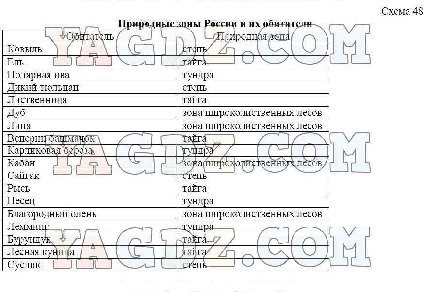 Биология 5 класс рабочая тетрадь стр 61