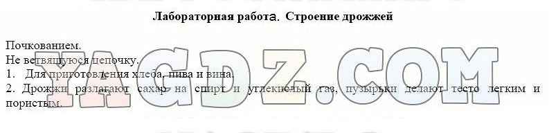 Биология 5 класс лабораторная работа номер 4