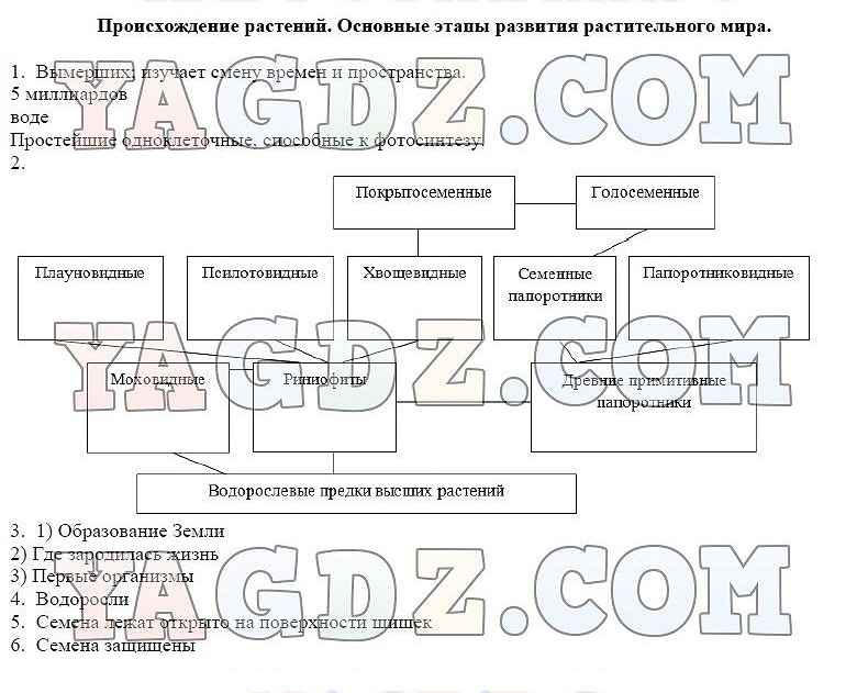 Схема происхождение и эволюция высших растений 5 класс биология