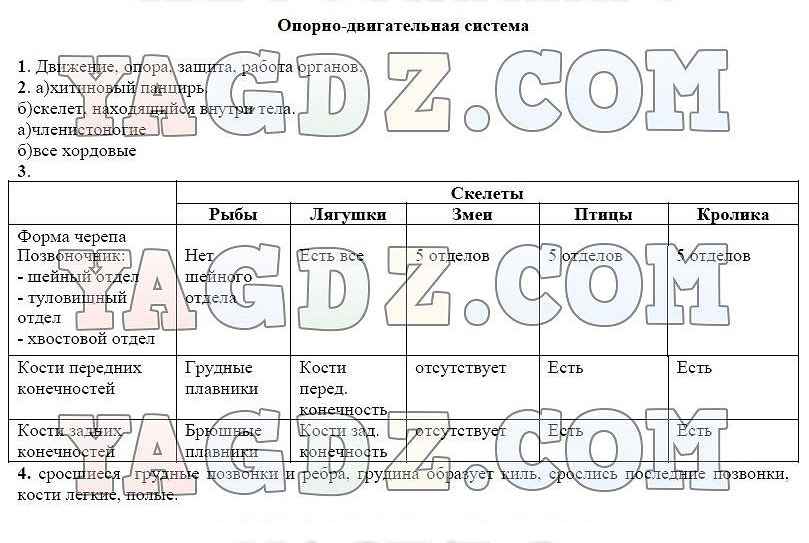 Биология 7 класс стр 7 таблица. Особенности строения опорно-двигательной системы животных таблица.