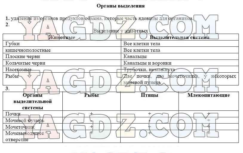 Органы чувств схема 7 класс биология