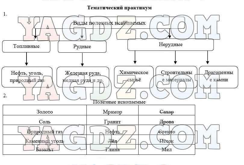 Практикум виды